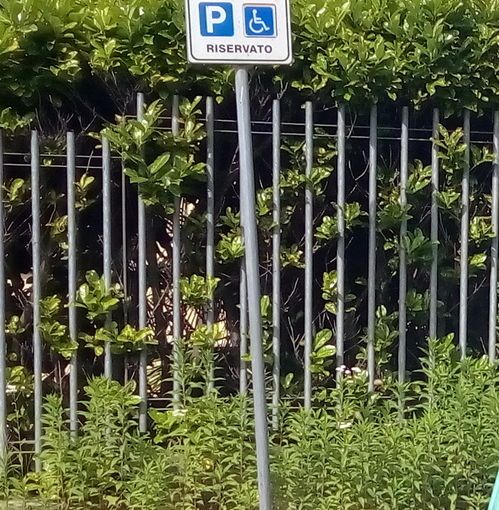 Sono spesso occupati gli stalli per disabili a Villadossola