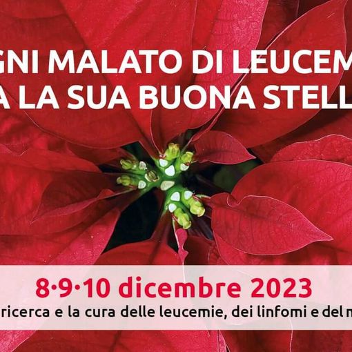Stelle di Natale per la Ricerca illuminano l'Ossola