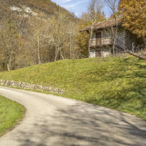 Su strade e piste forestali nessun nuovo divieto statale al transito