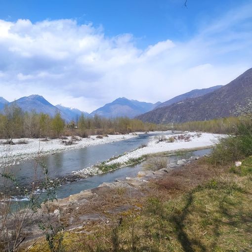 Alla scoperta dei tesori naturali del Toce con il bioBlitz &quot;Un fiume di natura&quot;