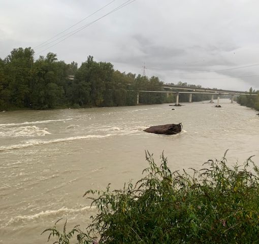Allerta gialla per temporali sul Piemonte, in arrivo grandine e vento forte