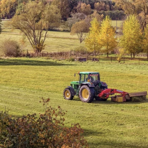 La Regione apre bando da 1,5 milioni per aiutare le aziende agricole a investire nell'innovazione