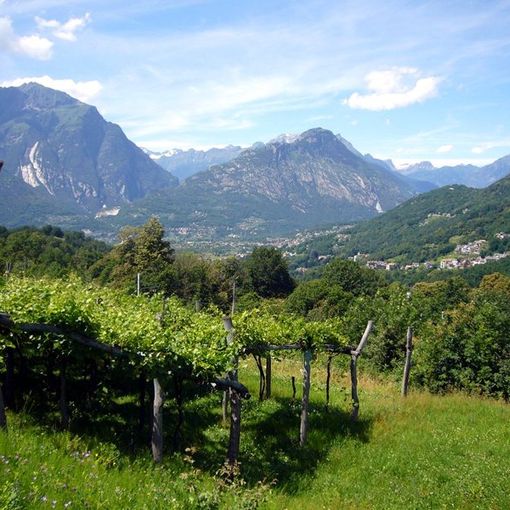 Una nuova strada a Trontano dedicata al Parco