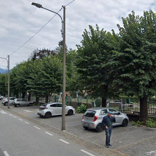 Alberi pericolanti in via Zonca: saranno abbattuti e sostituiti