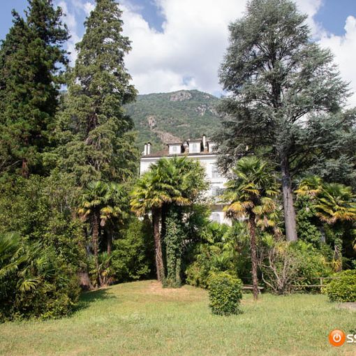 Castagnata a Preglia nel parco di Villa Renzi