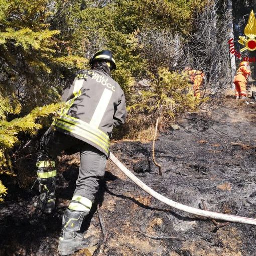 Incendio nel bosco alla Piana di Vigezzo: intervento dei vigili del fuoco
