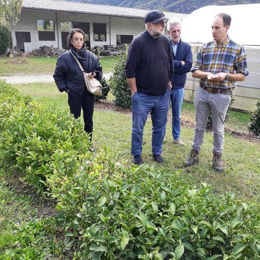 Ad Alessandro Zacchera il premio nazionale Bandiera Verde Agricoltura