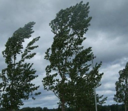 Ambiente, in Piemonte nasce l’Osservatorio Regionale sui cambiamenti climatici