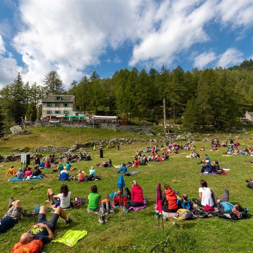 Prosegue il viaggio di Musica in Quota: all'Alpe Solcio  il concerto della Banfi Bazzari Casucci Band