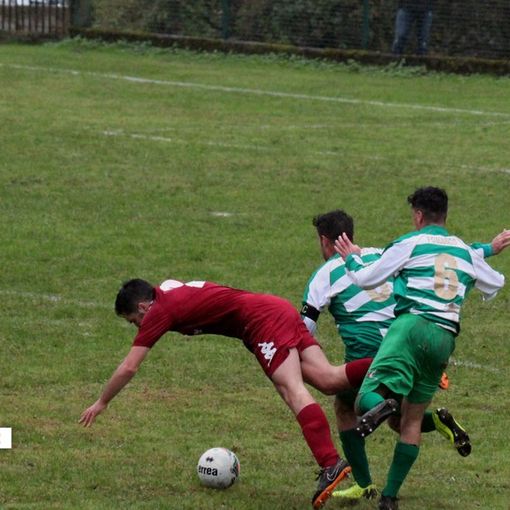 Piccinini: ''Un buon campionato: i numeri parlano''