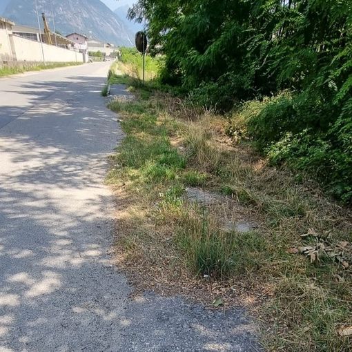 Vegetazione ovunque, protestano nella zona industriale di Trontano