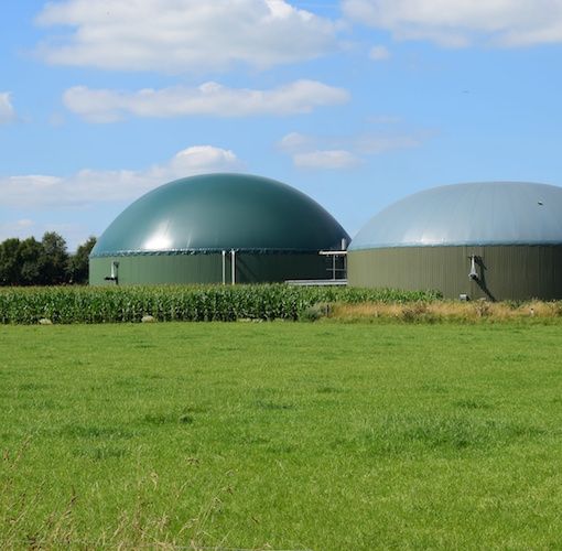 Nei pressi del depuratore Bellinzona-Locarno sorgerà una centrale a biogas