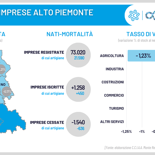 Demografia imprese: lieve diminuzione per il Vco nel primo trimestre