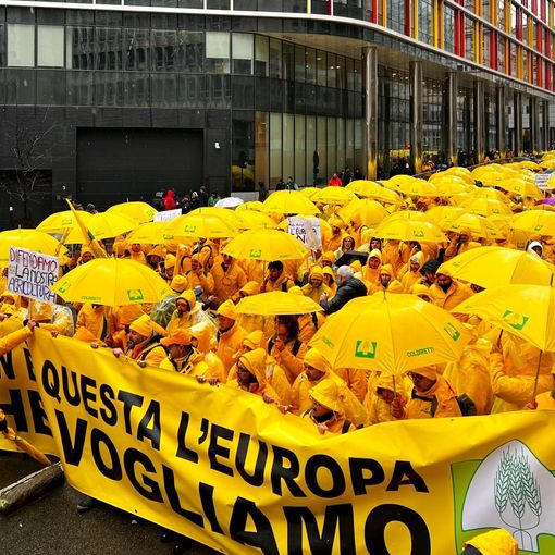 Anche Coldiretti Novara-Vco in piazza a Bruxelles:  stop burocrazia e misure urgenti per reddito imprese