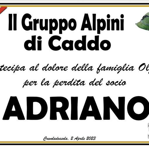 Partecipazione