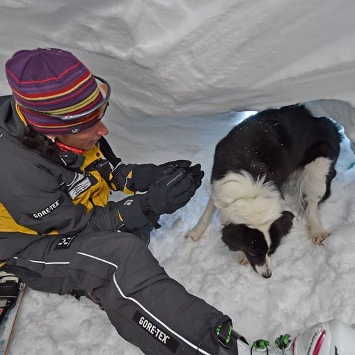 In Svizzera scarseggiano i cani da valanga