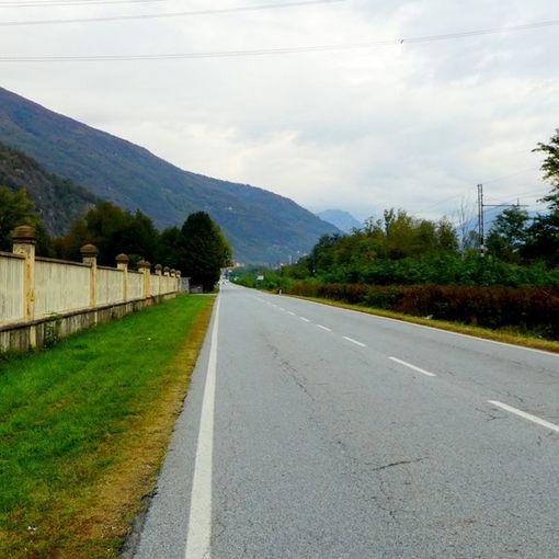 Pericolo ungulati tra Villadossola e Pallanzeno