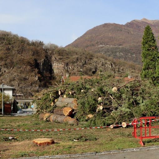 Piazza Lecomte nel novembre 2020, dopo il taglio degli alberi pericolanti