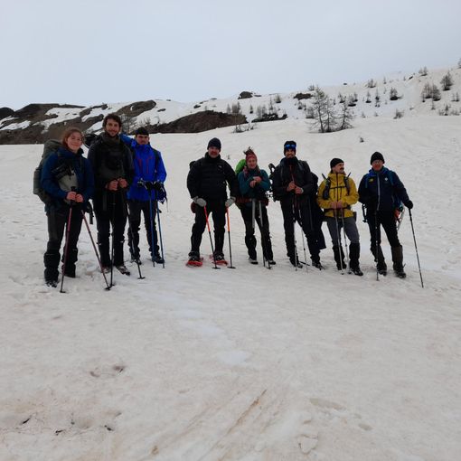 Conteggio annuale della pernice bianca all'alpe Devero: dati incoraggianti