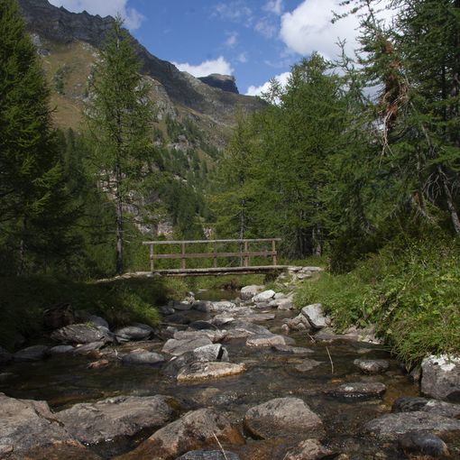 Con Casacomune e Cai esplorazioni e dialoghi all'Alpe Devero