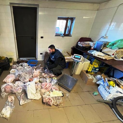 A caccia con trappole illegali e fucili clandestini