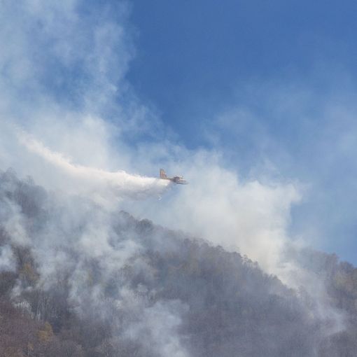 Continuano a bruciare i boschi in Cannobina FOTO E VIDEO