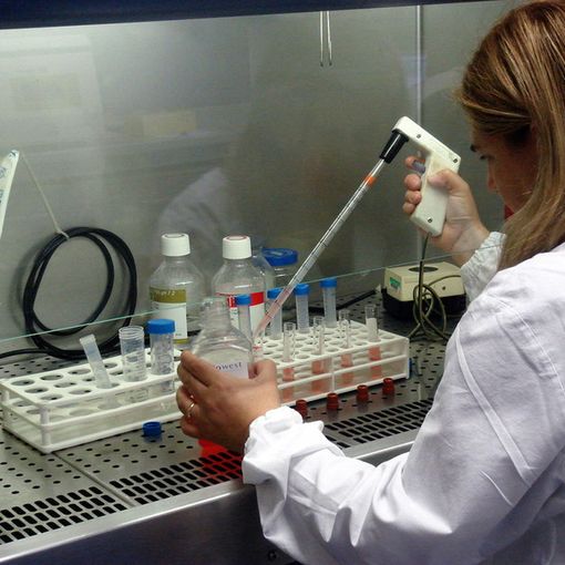 Svizzera, firmati quattro contratti per lo sviluppo di farmaci contro il Covid