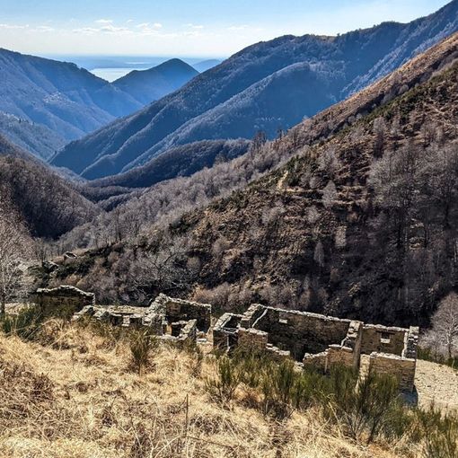 Parco Val Grande, escursione fino ai castagni secolari della valle Piaggia