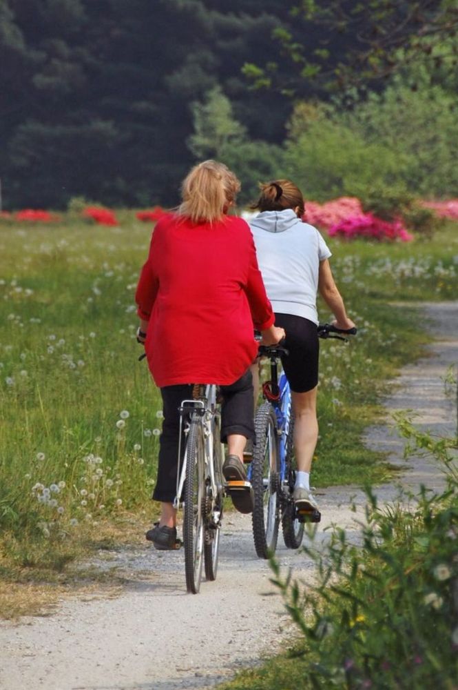 Firmata la convenzione tra Comune ed Enel per la pista ciclabile di Pallanzeno Firmata la convenzione tra Comune ed Enel per la pista ciclabile di Pallanzeno