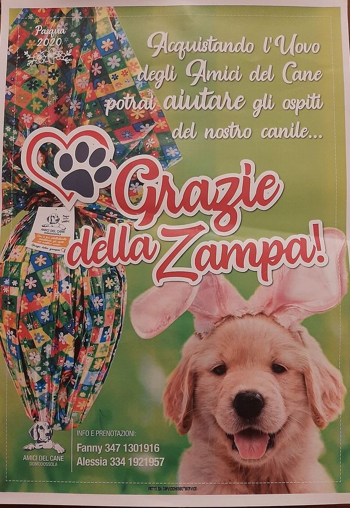 Amici del Cane, al via le prenotazioni per le uova di Pasqua