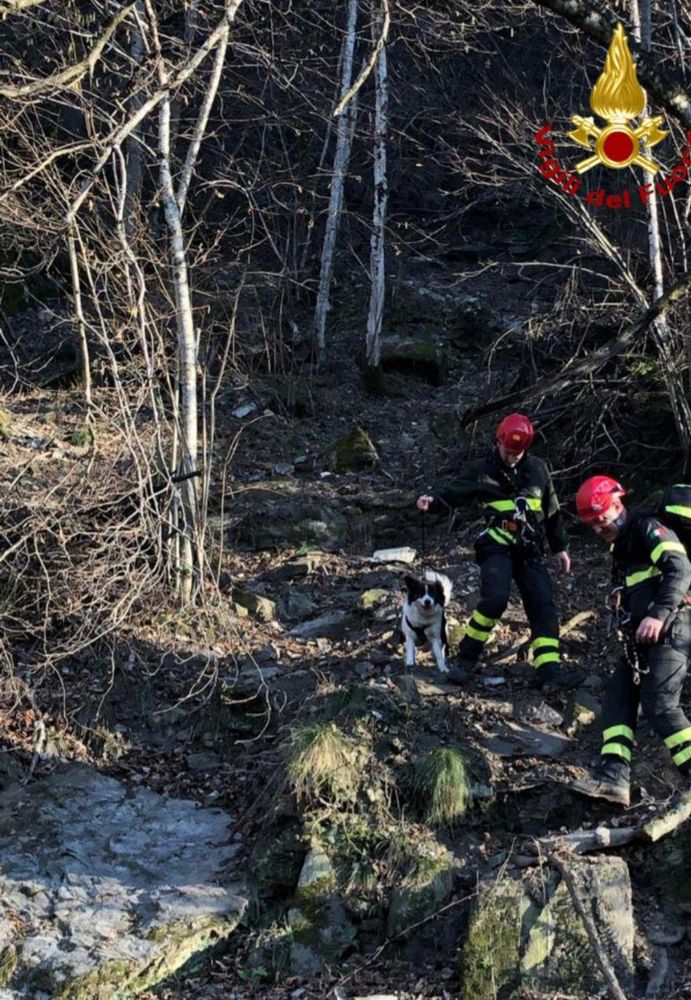 Cane in difficoltà a Baceno, salvato dai Vigili del fuoco Cane in difficoltà a Baceno, salvato dai Vigili del fuoco