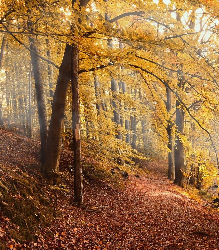 Previsioni per l’autunno: cosa ci aspetta? Le valutazioni di Arpa Piemonte.