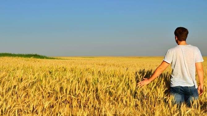 Un bando della Regione a sostegno dei giovani agricoltori piemontesi