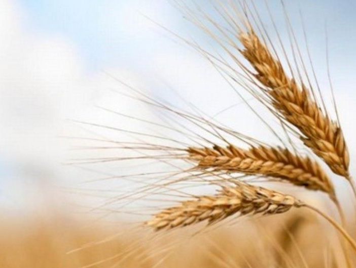 Coldiretti e FS insieme per rafforzare la filiera agroalimentare e salvaguardare il suolo