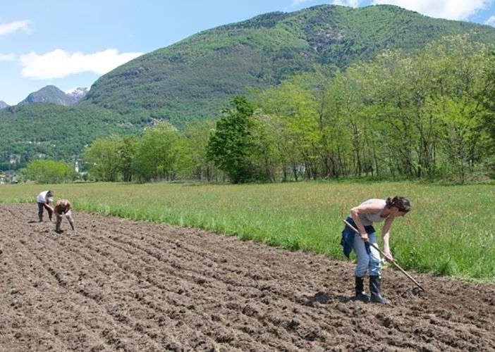 Indennità compensativa, Coldiretti: “Importante l’apertura del bando ma occorre integrare risorse per coprire tutte le domande”
