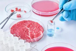 Carne artificiale, Coldiretti: &quot;L'opposizione alla legge va contro la scienza e la salute dei cittadini&quot;