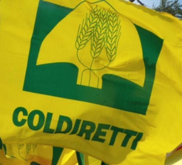 E' legge il divieto a produrre e commercializzare cibi a base cellulare