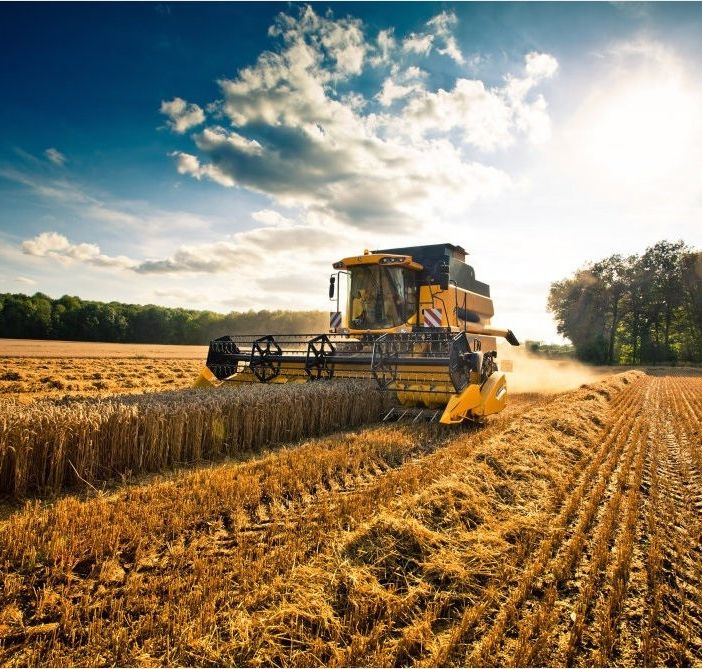 Proseguono i pagamenti della Regione alle aziende agricole