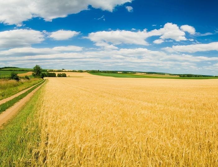 Coldiretti: bene l'obbligo d'indicare in etichetta la provenienza dell'alimento principale