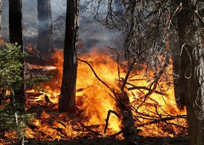 Allerta incendi in Canton Ticino