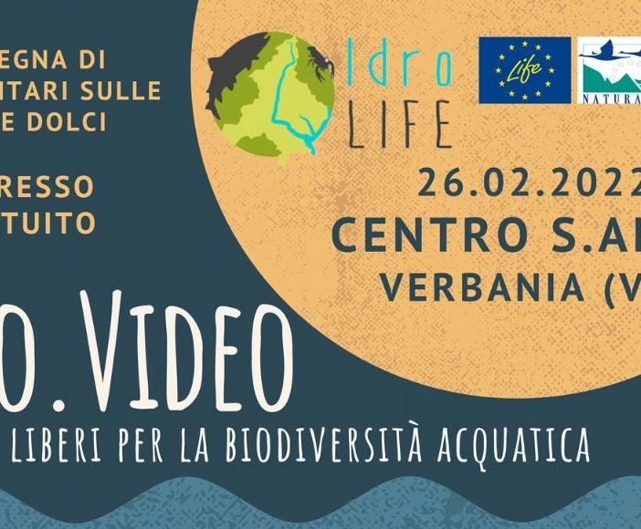 Verbania, anche il corto ‘H2O’ di Roberto Bianchetti alla rassegna Idro.Video