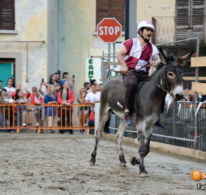 A Premosello un concorso di pittura dedicato all'asino