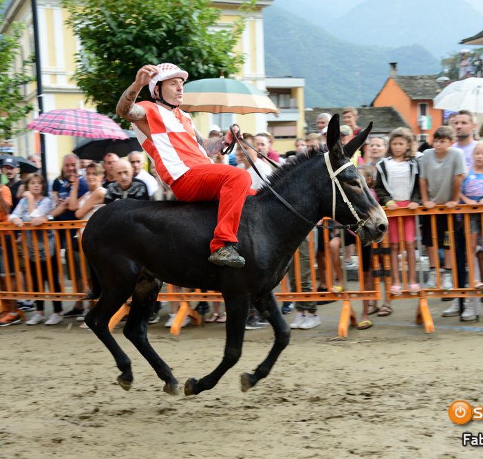 Premosello, cresce l'attesa per il tradizionale Palio degli Asini