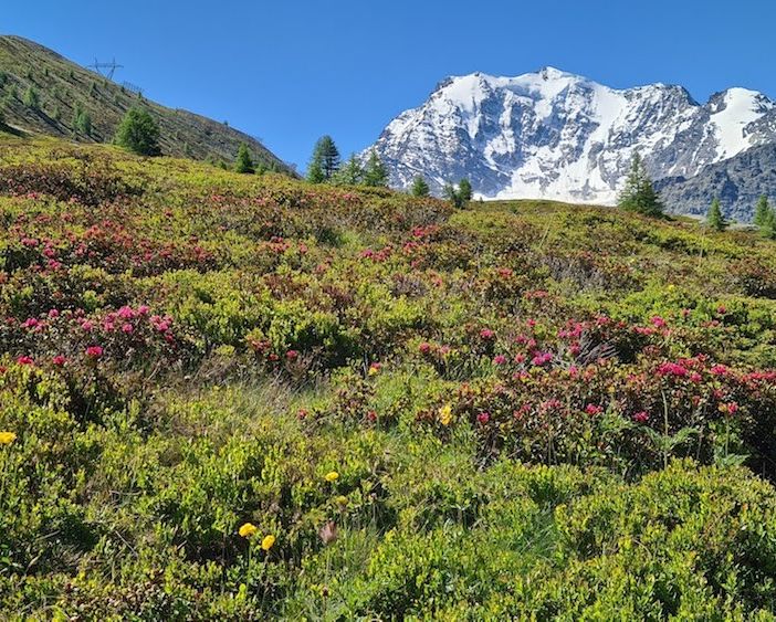 Dal ministero 800 mila euro per valorizzare il Sentiero Italia Cai in Piemonte