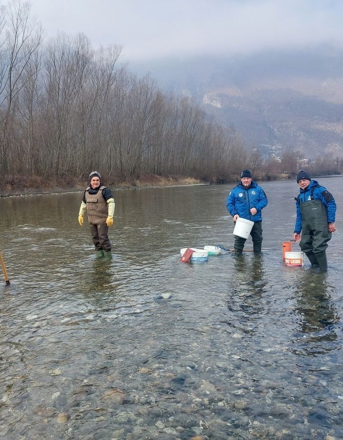 Foto da Facebook Sezione Provinciale Pescatori del V.C.O. fipsas