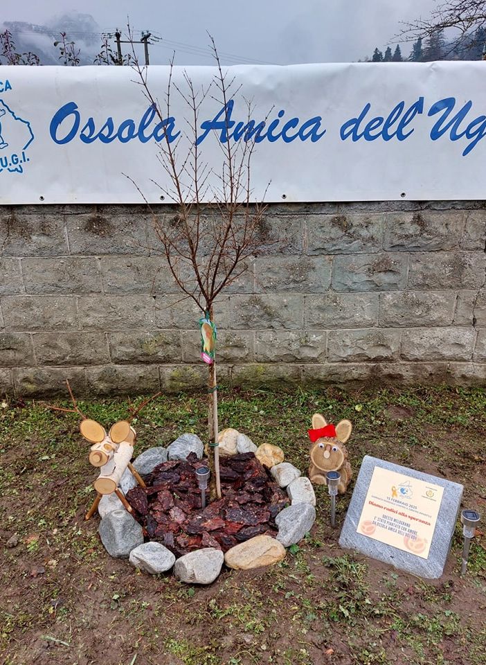 L’Ossola Amica dell’Ugi ha celebrato la giornata mondiale contro il cancro a Masera