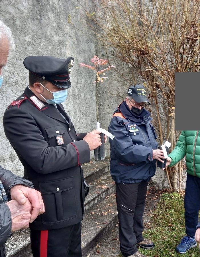 Alle scuole di Craveggia piantato il ficus di Giovanni Falcone