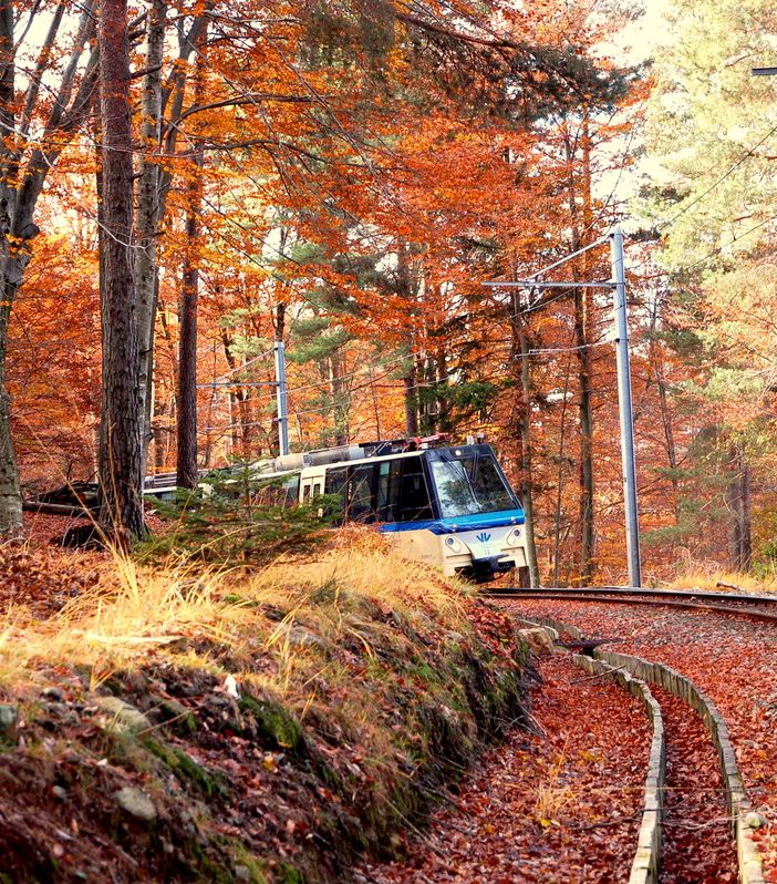L'autunno continua a splendere in Valle con la Ferrovia Vigezzina