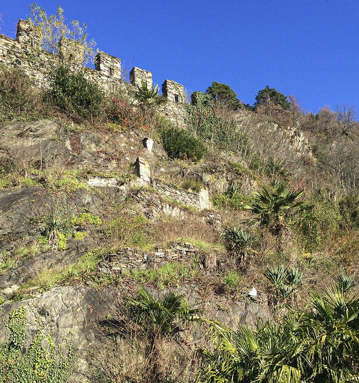 Sarà presentato a Vogogna il progetto di restauro del giardino verticale di Villa Biraghi.