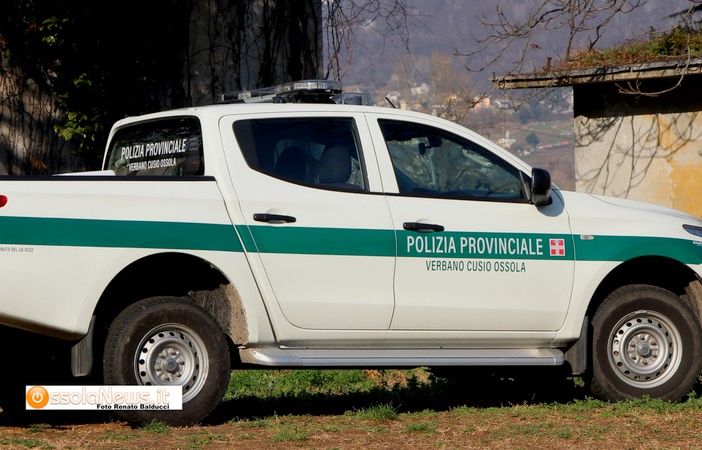 La Provincia ha due nuove guardie